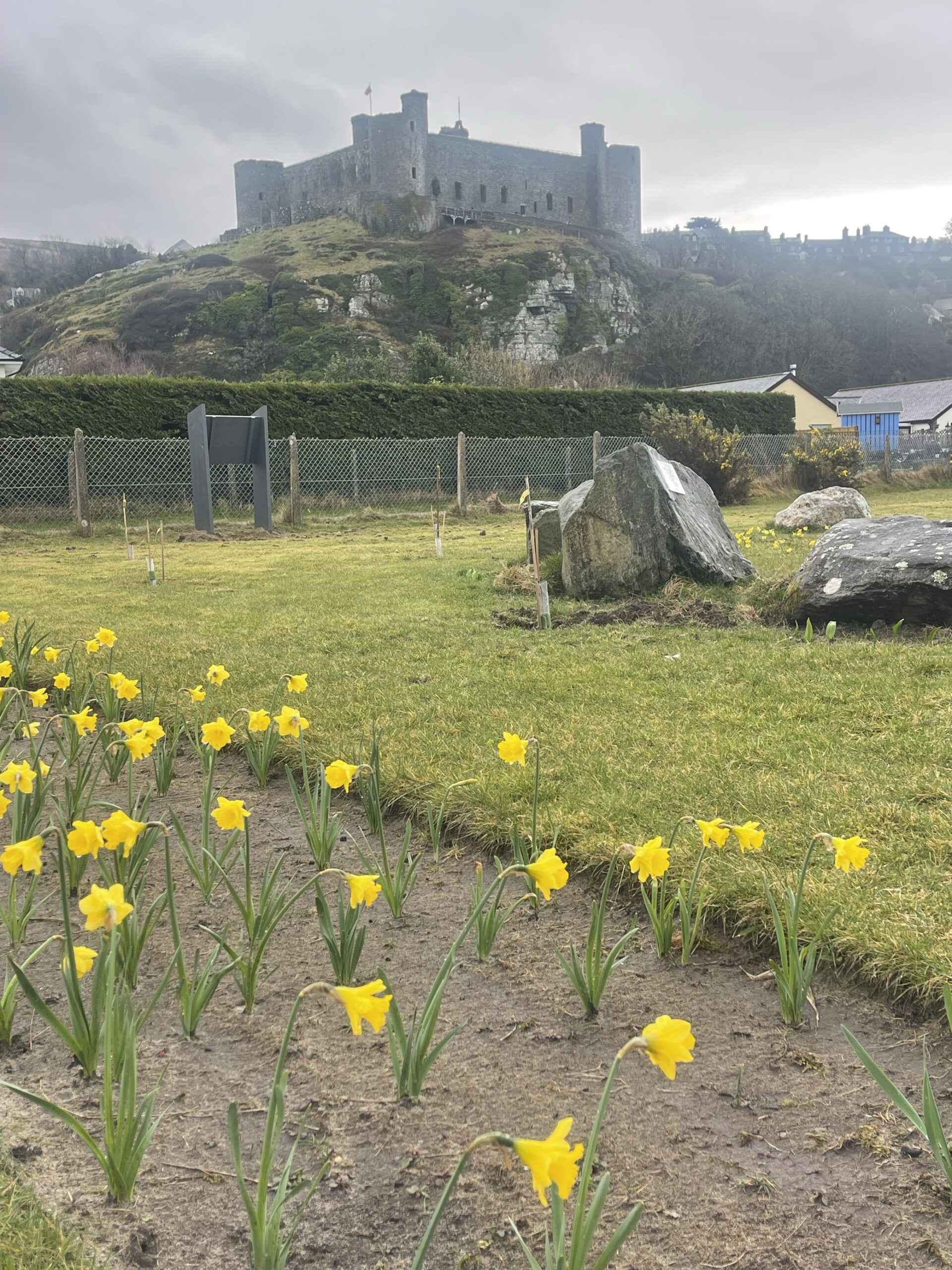 https://awdurdod.eryri.llyw.cymru/wp-content/uploads/2025/04/Image-22-scaled.jpg